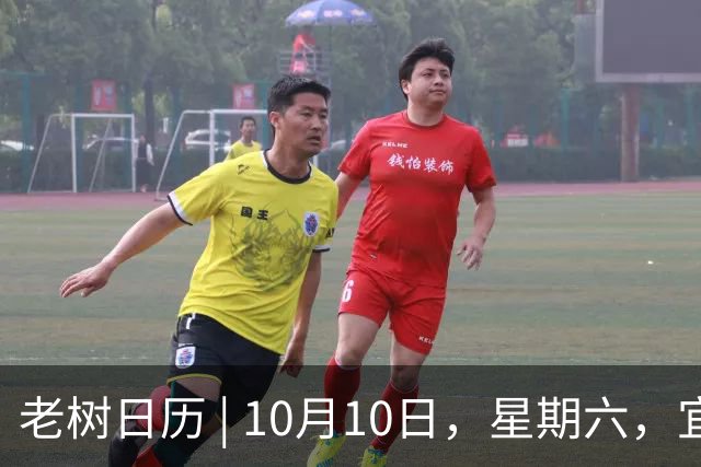 老树日历 | 10月10日，星期六，宜篱下采菊